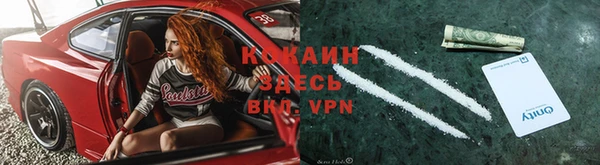прущие грибы Семилуки