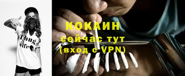 прущие грибы Семилуки